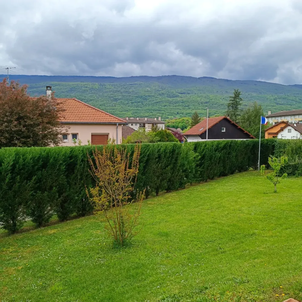 Tonte de pelouse à Anglefort