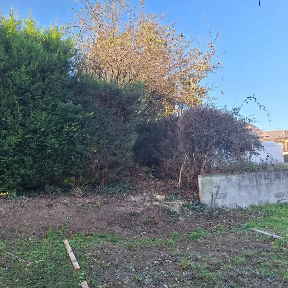 Entretien de jardin à Anglefort