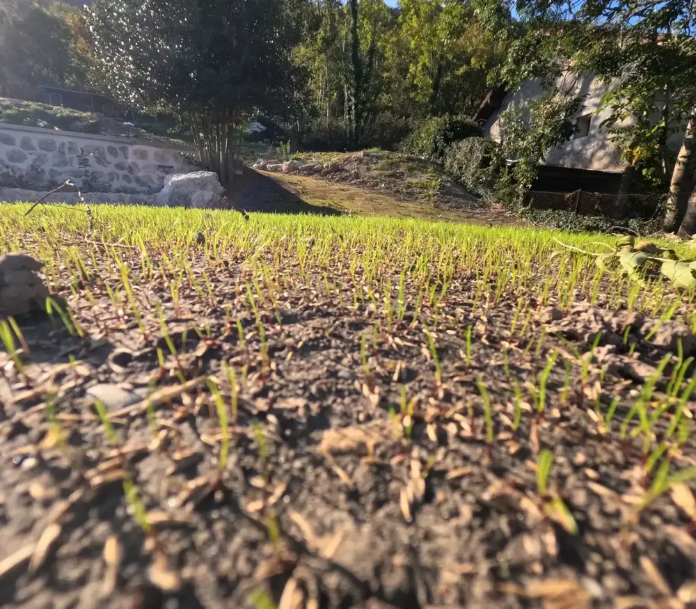 Photo a mettre a coté de végétal et entretiwebp