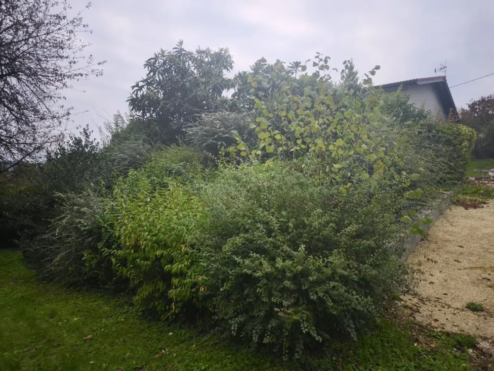 photo_2025-11-29_19-48-26