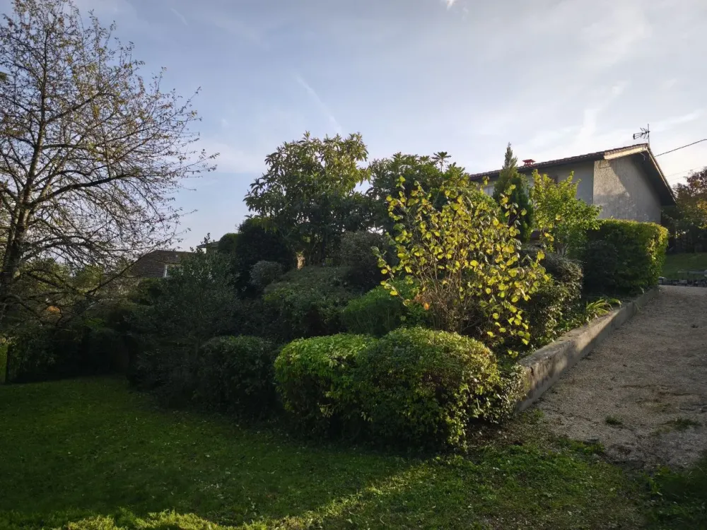 photo_2025-11-29_19-48-21